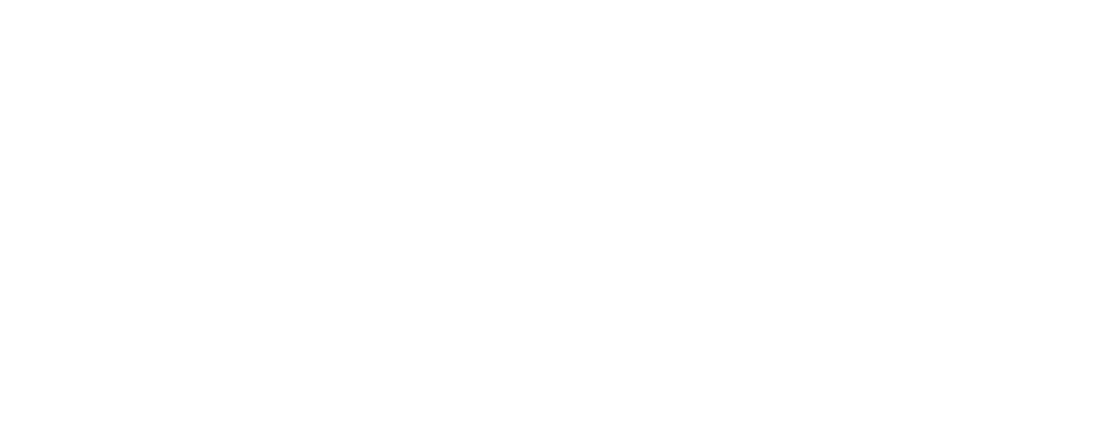 Duonix Studios Logo